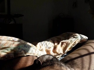 Chakra Skeetz Pleasant Morning Jerkoff. HUGE Cumshot