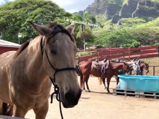 【個人撮影】お家でいきなり喉奥フェラの調教をする素人カップル♡愛のあるねっとり濃厚なセルフイラマチオでご奉仕する可愛いまりあ♡／Japanese amateur hentai ／日本人／パイパン／色白