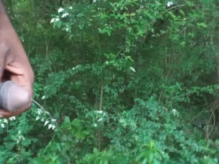 Taking a piss in the WOODS