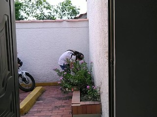 conseguí el trabajo gracias al sexo oral que le practique a la patrona