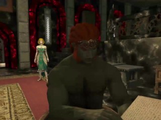 Zelda TOTK Zonai Slut