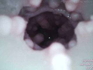 Epic Internal Camera! Juicy Pussy! (JoyModelDoll Tracy torso)