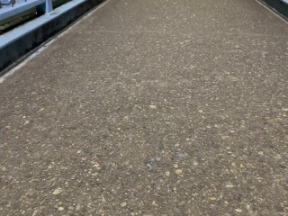 【既婚リーマン】歩道橋の上で射精できるか挑戦してみました！結果はいかに？！