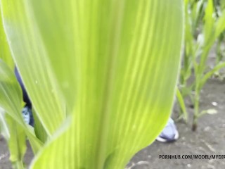 Outdoor Pissing compilation