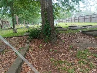 Taking a piss on my homeboy grave!!! 🪦🪦🪦🪦