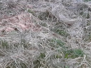 My work colleague licked my pussy under a blanket in the field so no one could see