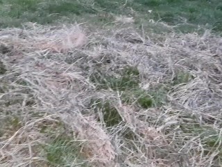 My work colleague licked my pussy under a blanket in the field so no one could see