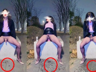 How did the slutty Chinese  ladyboy get the park sidewalk wet?