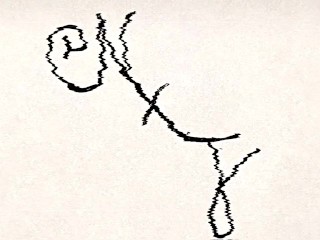 EXXXOTICA Seductive Audition Trailer