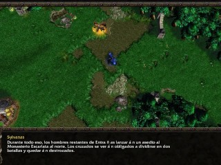 ¿Qué paso con SYLVANAS WINDRUNNER después de WARCRAFT 3