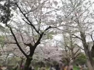 【個人撮影】SMシリーズ❤︎ベッドの上で目隠し&首輪をしたままローターで1人オナニーさせられる可愛い彼女♡／Japanese amateur hentai ／日本人／パイパン／色白／美少女