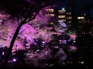 【個人撮影】SMシリーズ❤︎ベッドの上で目隠し&首輪をしたままローターで1人オナニーさせられる可愛い彼女♡／Japanese amateur hentai ／日本人／パイパン／色白／美少女