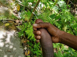 This Feels Sooo Good- Sexy Voice Solo Male with Veiny Cock Passionatley Jerks Off- (Moaning Cumshot)