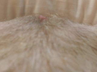 HAIRY LEGS AND PUSSY CLOSE UP, LONG BLACK HAIR