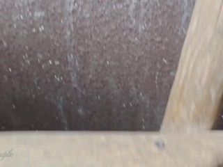 Being very naughty in a zoo - risky public