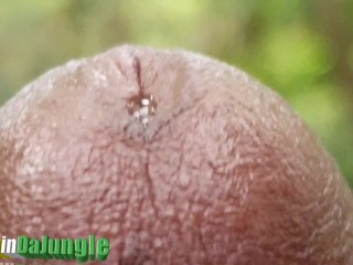 Moaning Precum Play leads to Huge Dripping Cumshot from a Hard Cock