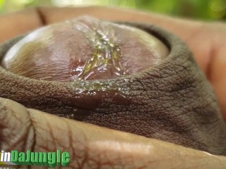 Moaning Precum Play leads to Huge Dripping Cumshot from a Hard Cock