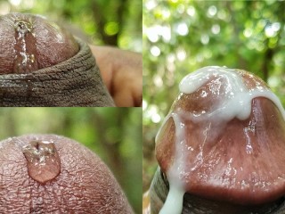 Moaning Precum Play leads to Huge Dripping Cumshot from a Hard Cock
