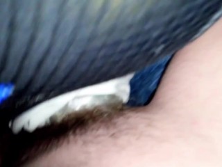 MissLexiLoup trans female tight rectums ass fucking up a pretty fake model ass A1