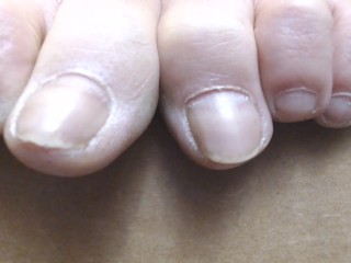 ASMR Story Of a Shrunken Foot Slave Co-Worker