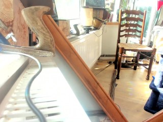 sunbathing and relaxing