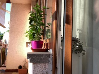 Teddy Snow - early morning gay jerk off on balcony of office, caught by a driver