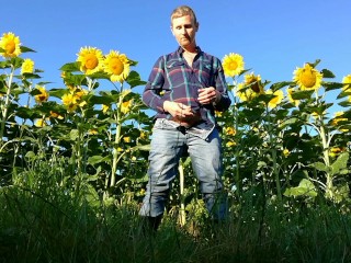 Farm man in rubber boots peeing and masturbating in the sunflower field