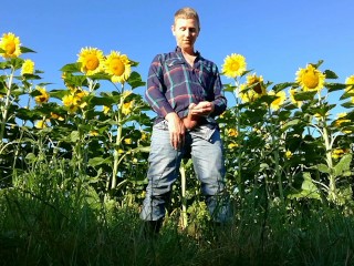 Farm man in rubber boots peeing and masturbating in the sunflower field