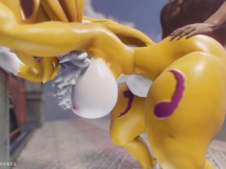 Renamon Furry Compilation: Volume 1