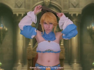 Legend of Zelda: Link's Continued Humiliation