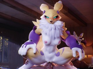 How to train your Renamon!(Part3/3)(Short ver)🦊