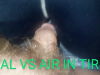 MissLexiLoup trans female tight Rectums ass fucking butthole screwing my dick up fake ass A