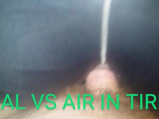 MissLexiLoup trans female tight Rectums ass fucking butthole screwing my dick up fake ass A