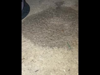 Piss on carpet