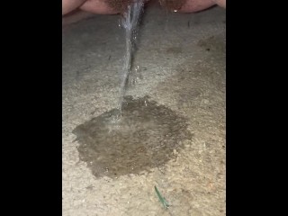 Piss on carpet