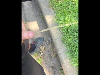 Uncut Cock Pissing Outside in Public