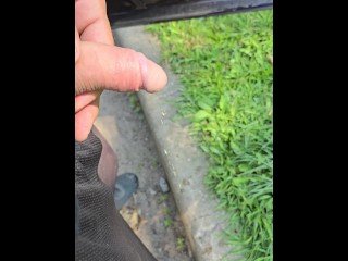 Uncut Cock Pissing Outside in Public