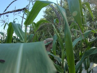 Naked girl in a corn field