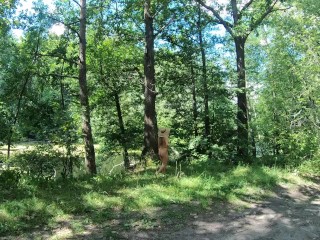 Nude girl and the lake in forest