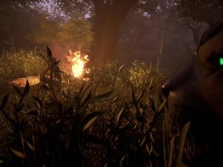 The Predator And Its Prey ( Wild Life )