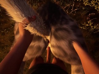 The Predator And Its Prey ( Wild Life )