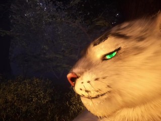 The Predator And Its Prey ( Wild Life )