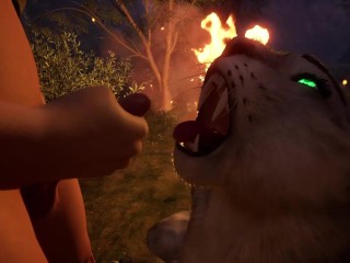 The Predator And Its Prey ( Wild Life )