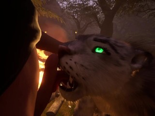 The Predator And Its Prey ( Wild Life )