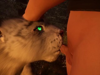 The Predator And Its Prey ( Wild Life )