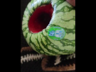 Dirty talk melon fucking