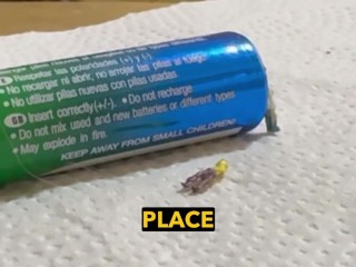 From gentle giantess to monster: Lina the 99,999-foot giantess