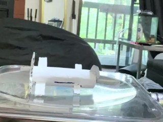 giantess dominates tiny humans