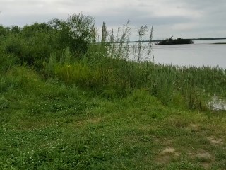 Молодая мамочка на природе, начинающая эксгибиционистка показала свою попку