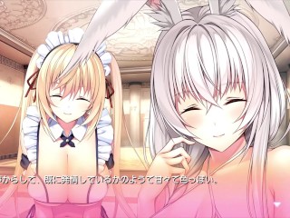 【H GAME】Role Player 小粥姉妹♡Hアニメーション⑪ エロアニメ